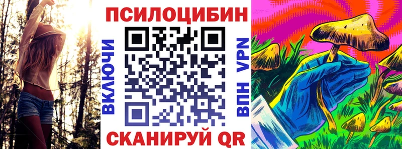 магазин продажи наркотиков  Лодейное Поле  Псилоцибиновые грибы Cubensis 